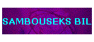SAMBOUSEKS BIL